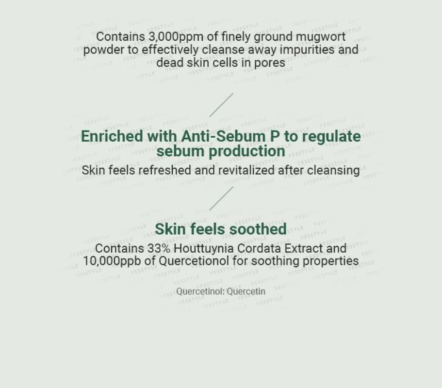 ANUA Heartleaf Quercetinol Pore Deep Cleansing Foam