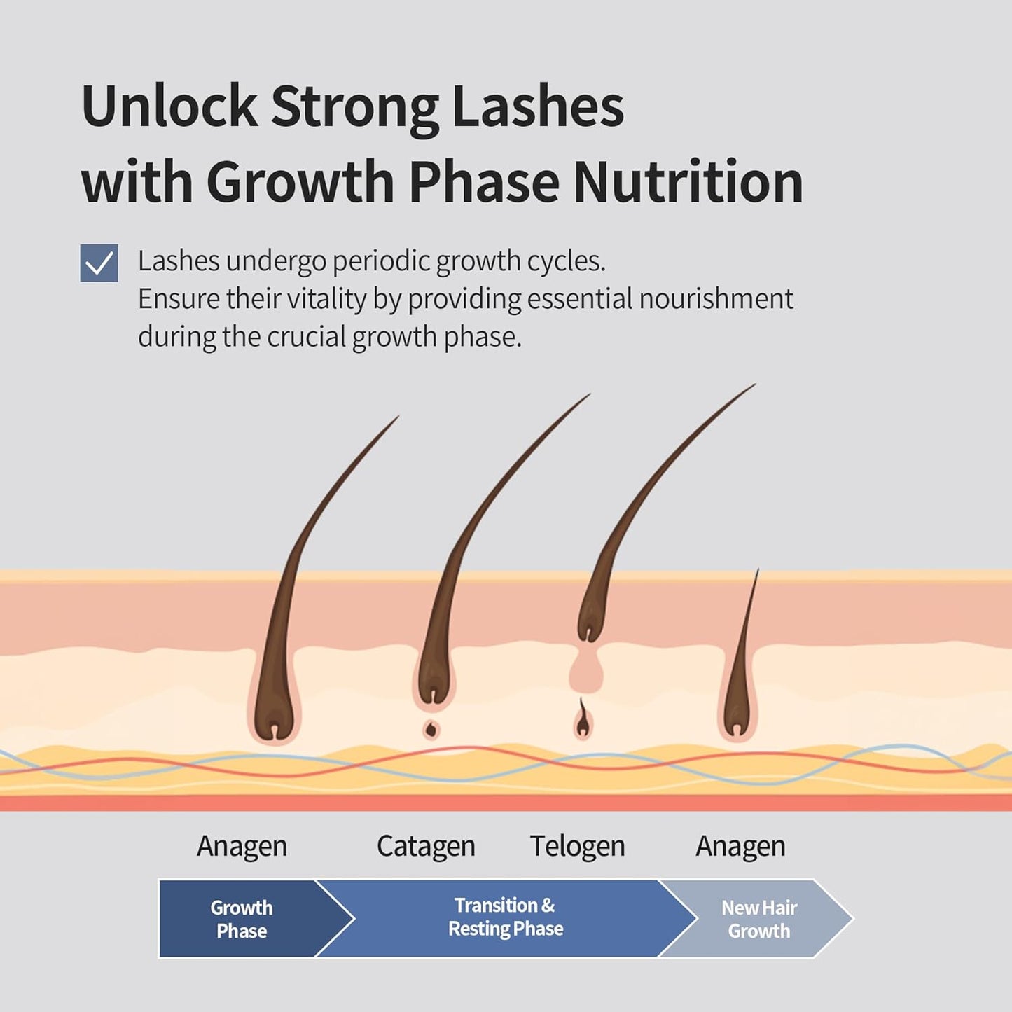 Benton Honest Eyelash Serum