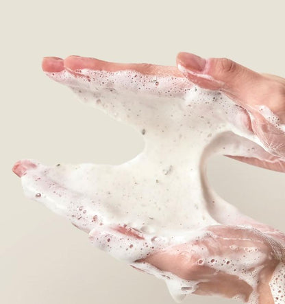 ANUA Heartleaf Quercetinol Pore Deep Cleansing Foam